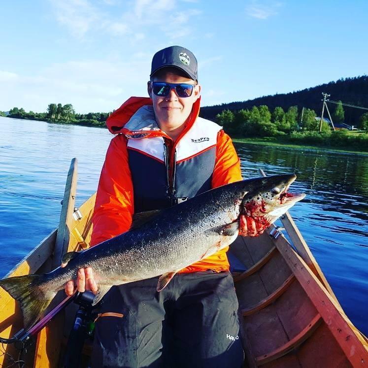 Arctic Camping Finland Hotel Pello Kültér fotó